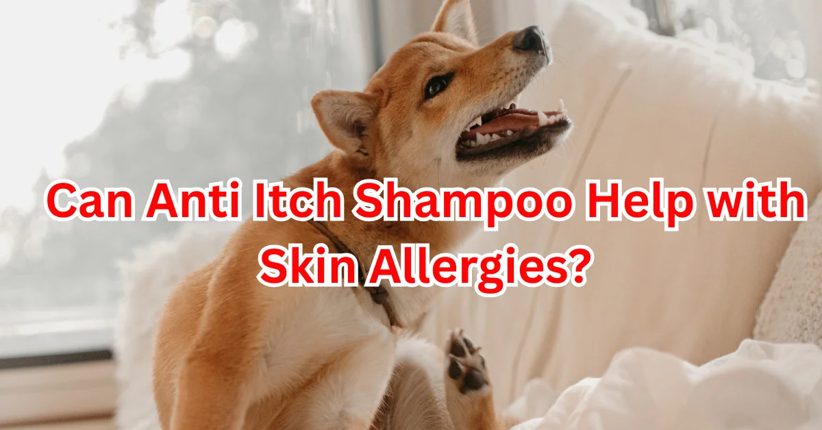 Itch Dog Shampoo