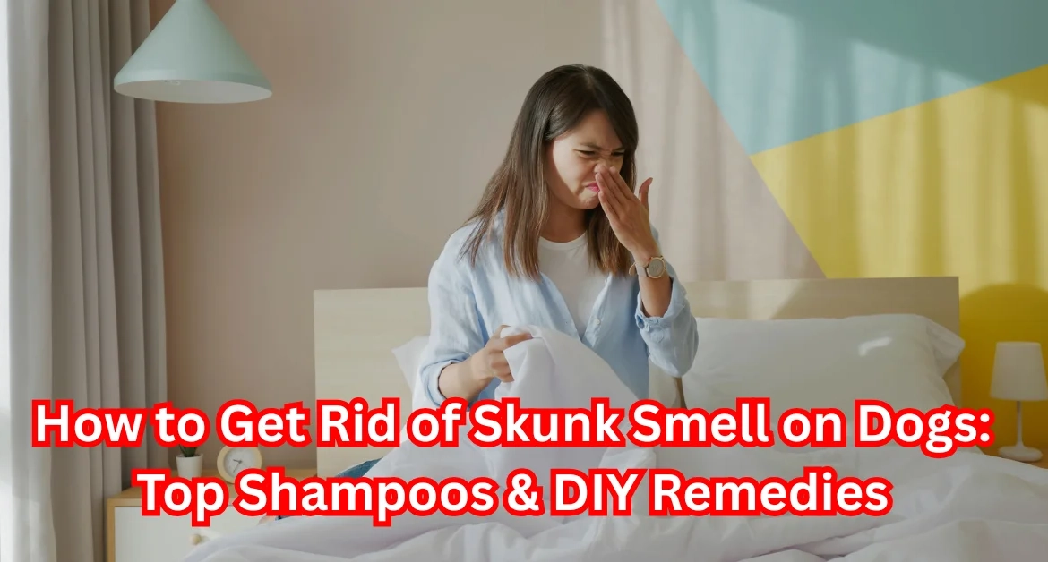 Shampoo for Skunked Dogs