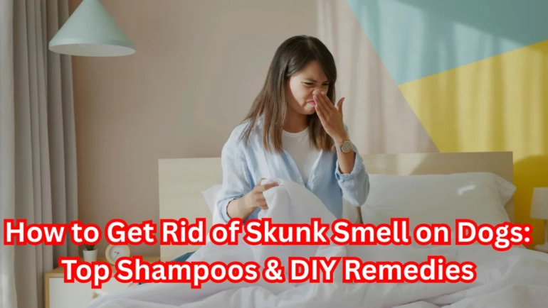 Shampoo for Skunked Dogs