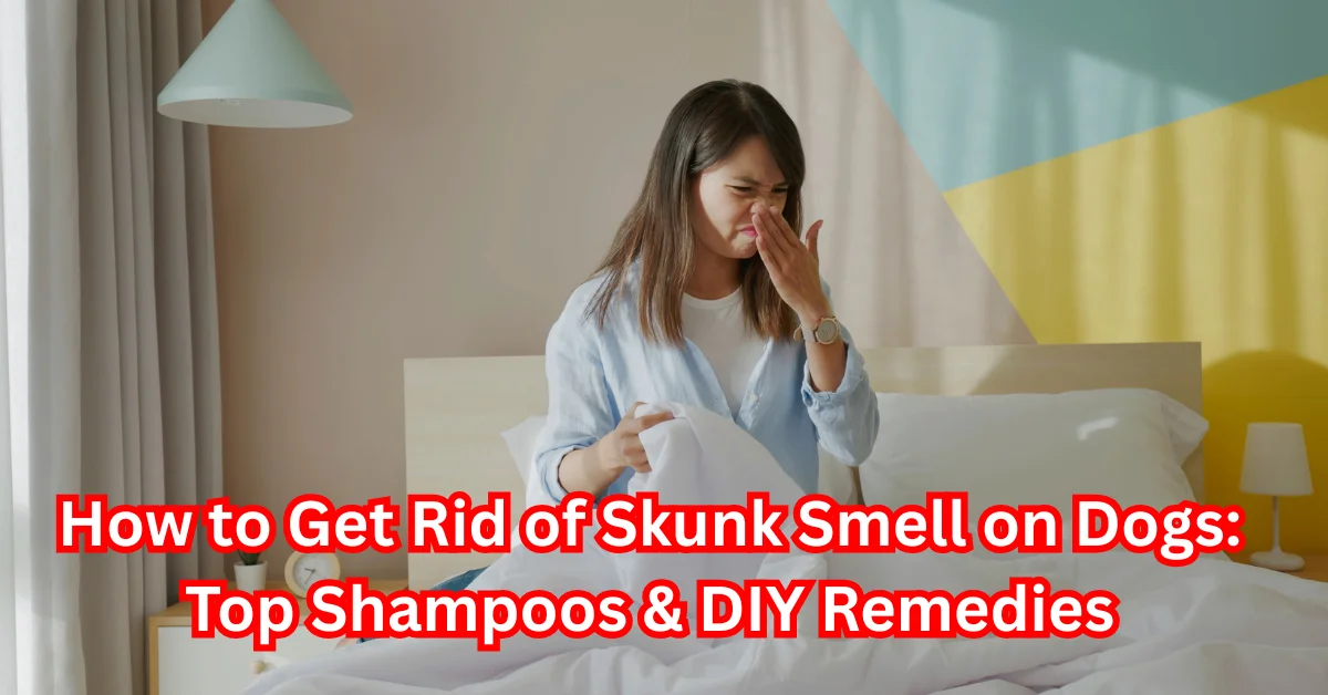 Shampoo for Skunked Dogs