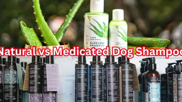 Natural vs Medicated Dog Shampoo