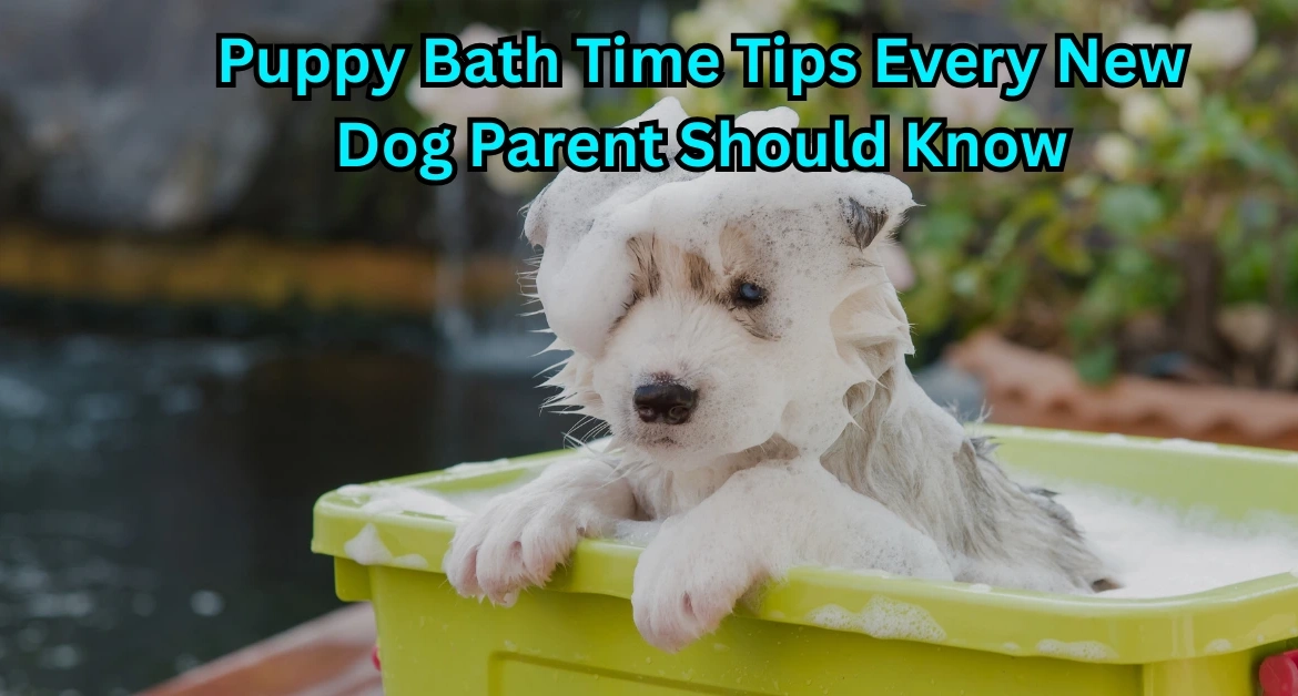 how to bath your puppy
