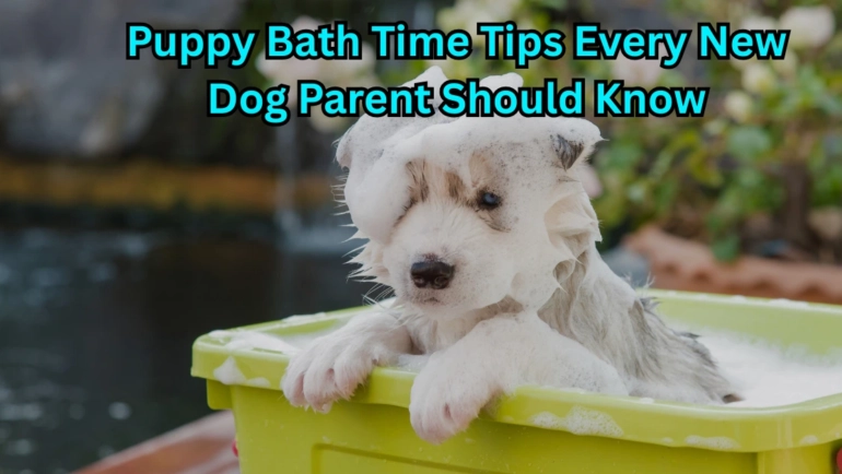 how to bath your puppy