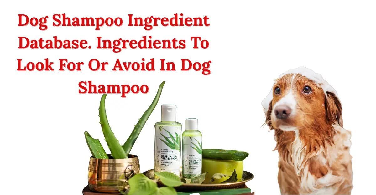 Dog Shampoo Ingredient
