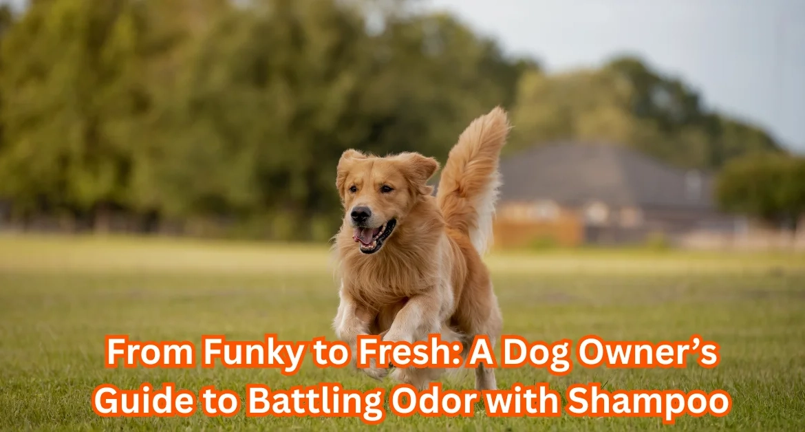 Odor Shampoo for Dogs