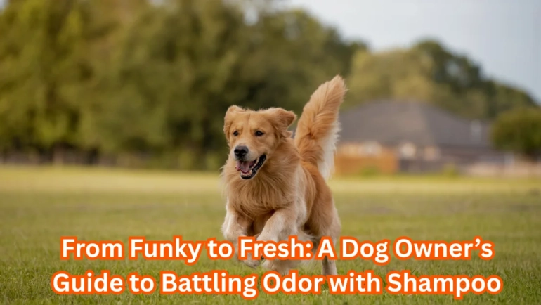 Odor Shampoo for Dogs