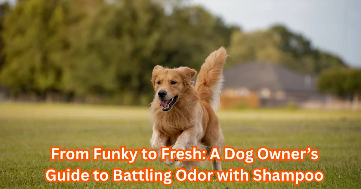 Odor Shampoo for Dogs