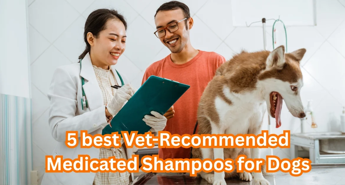 Best Medicated Dog Shampoos
