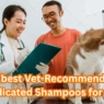 Best Medicated Dog Shampoos for Skin Issues