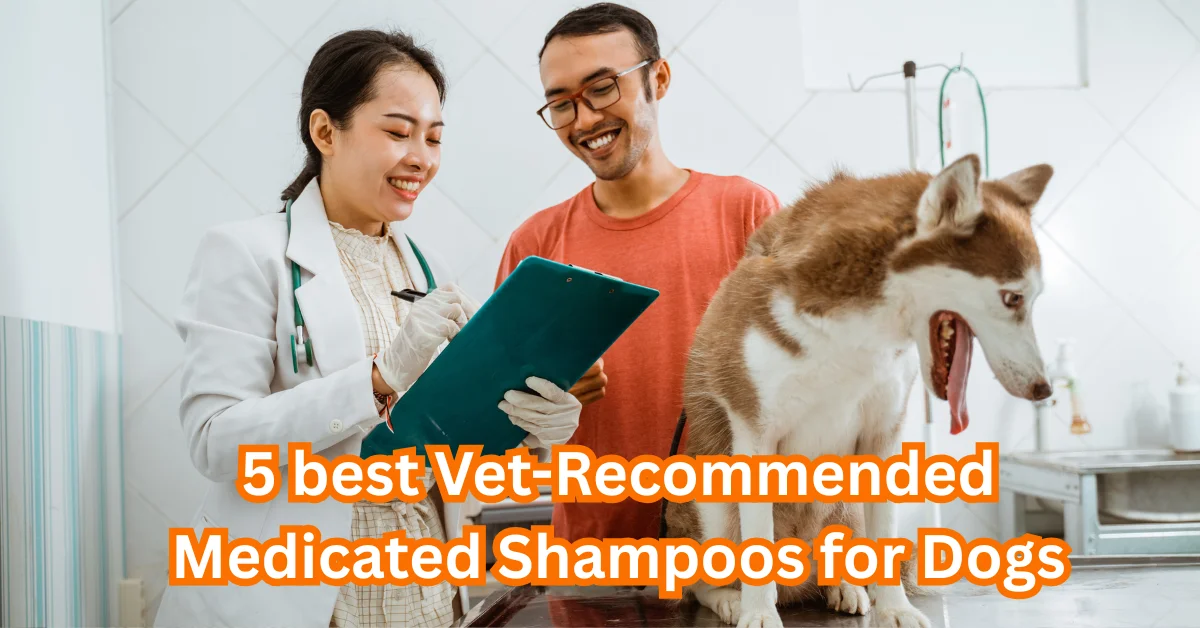 Best Medicated Dog Shampoos