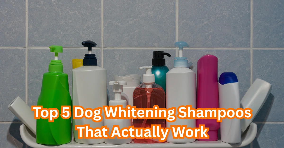 Whitening Shampoo for Dogs