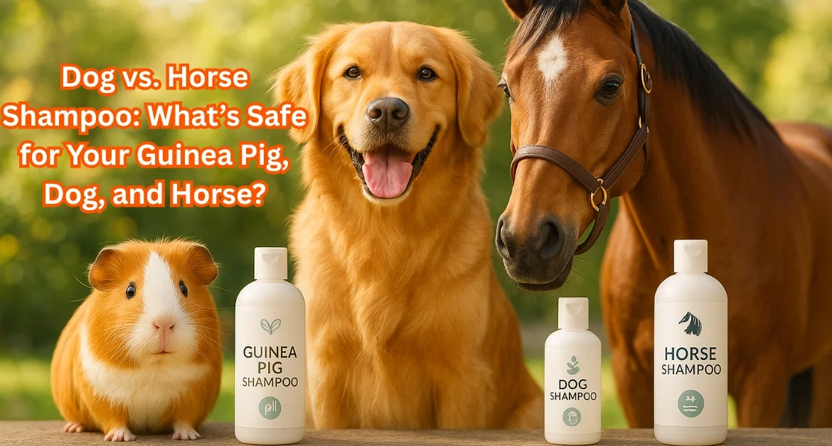 can you use dog shampoo on guinea pigs