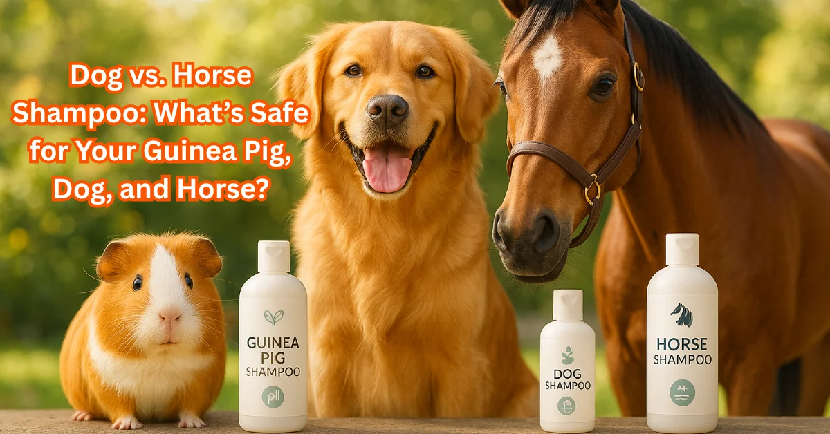 can you use dog shampoo on guinea pigs