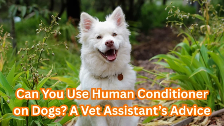 Can you use human conditioner on dogs?
