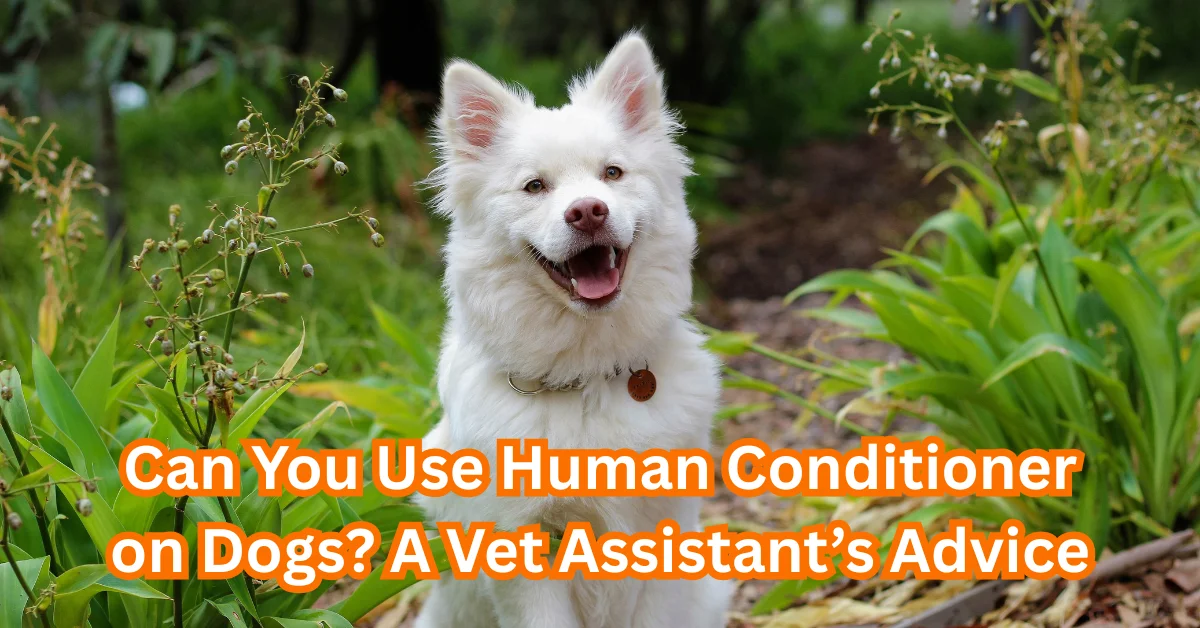 Can you use human conditioner on dogs?
