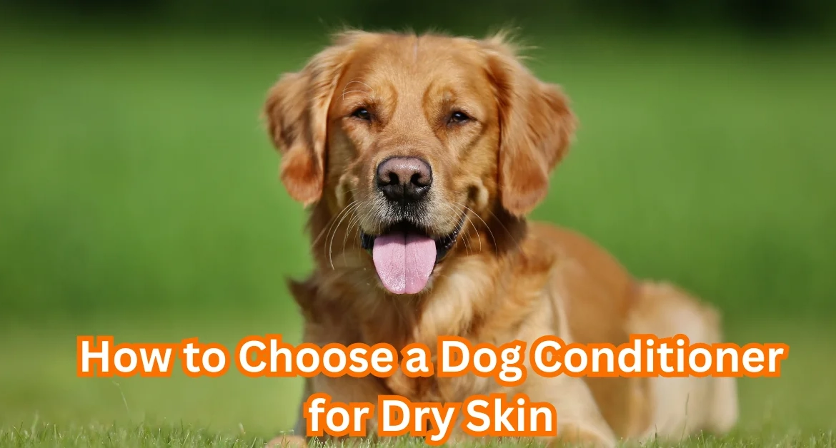 Dog Conditioner for Dry Skin