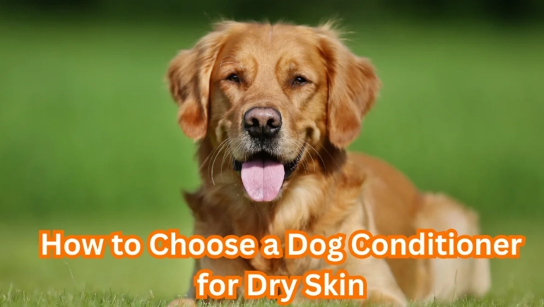 Dog Conditioner for Dry Skin