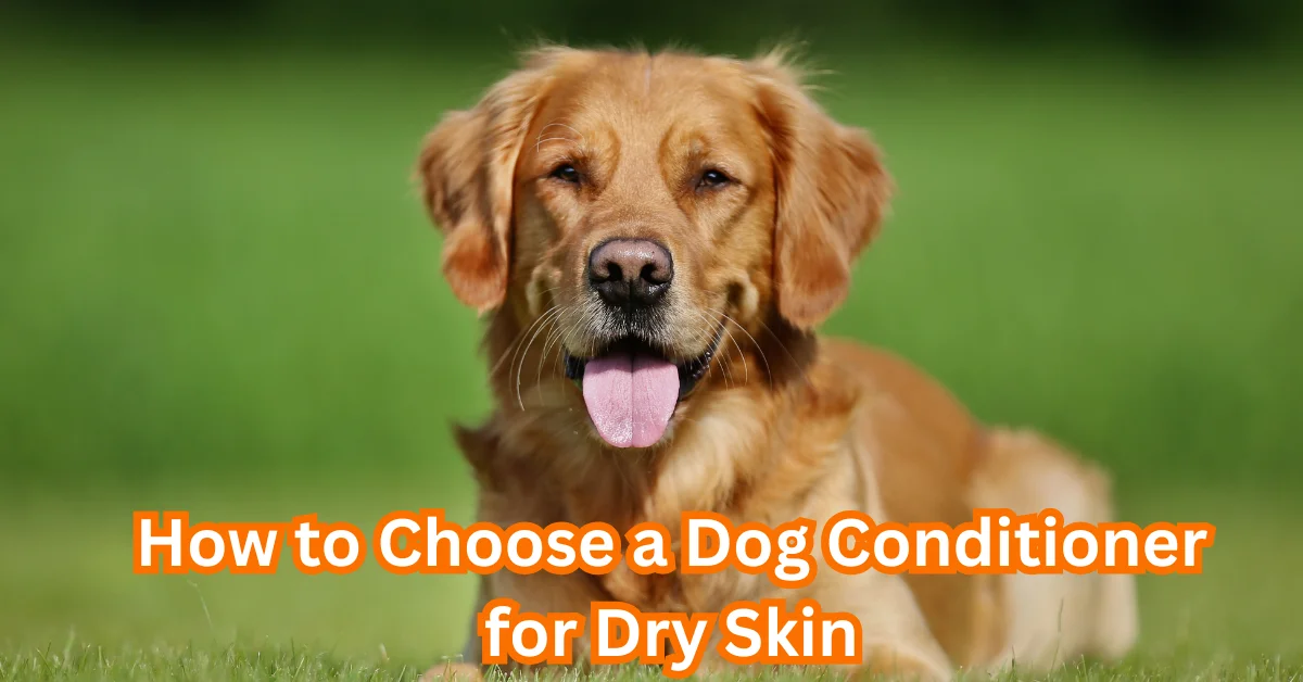 Dog Conditioner for Dry Skin