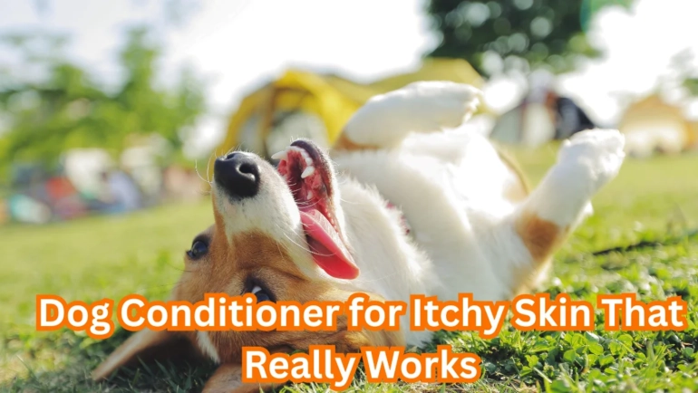 Dog Conditioner for Itchy Skin