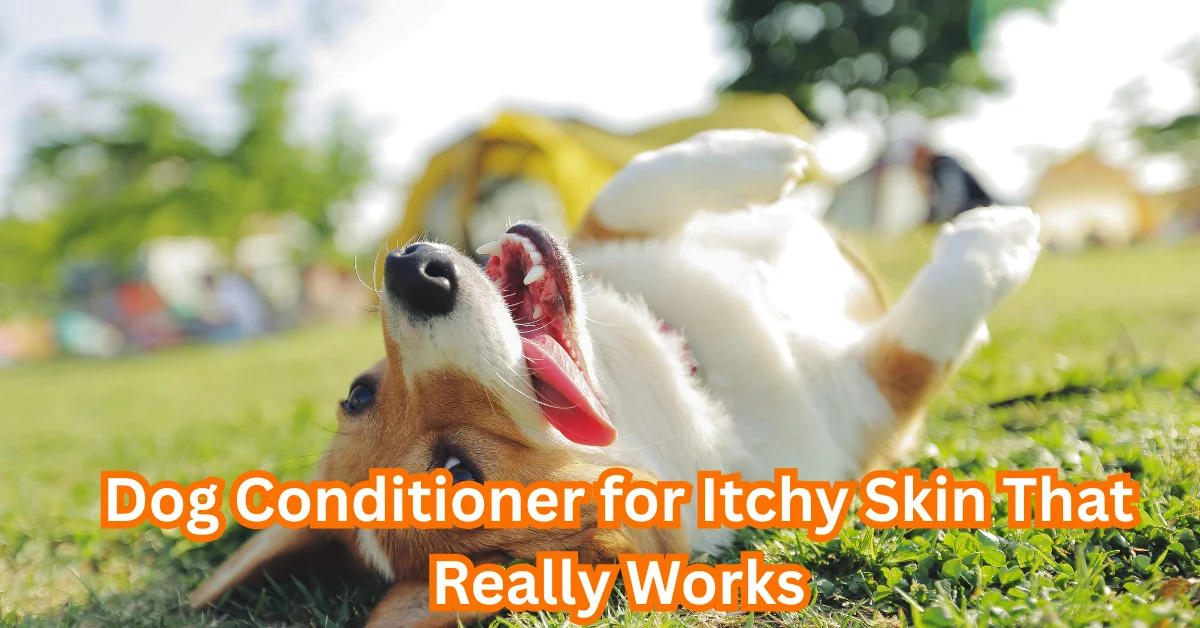 Dog Conditioner for Itchy Skin