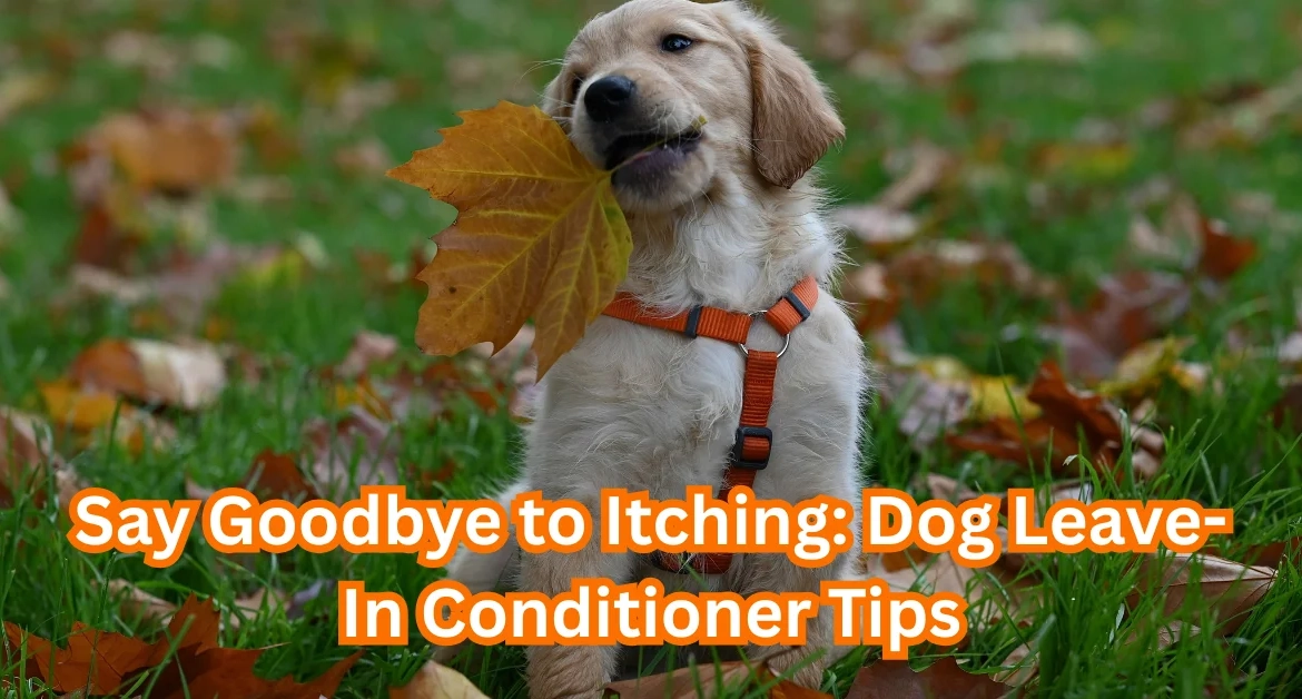 Dog Leave-In Conditioner