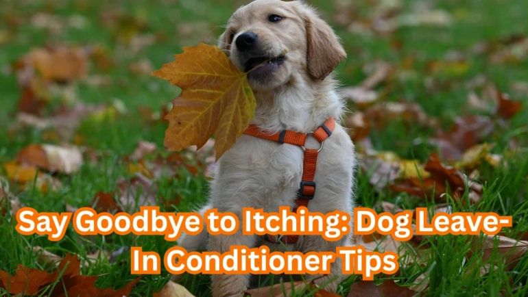 Dog Leave-In Conditioner