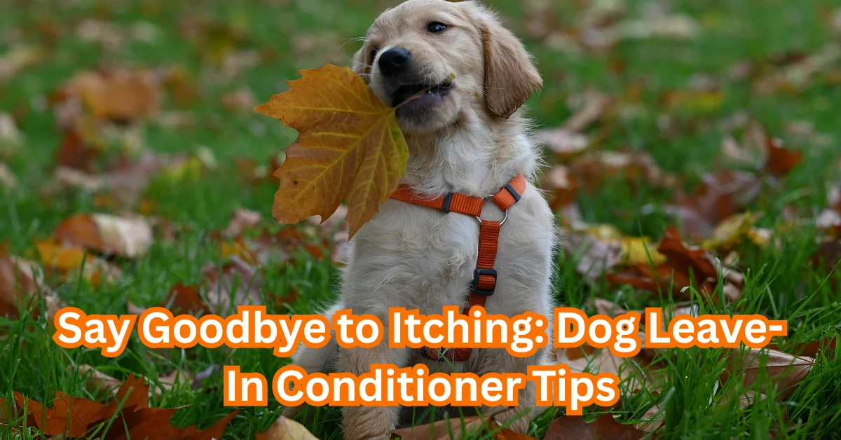 Dog Leave-In Conditioner