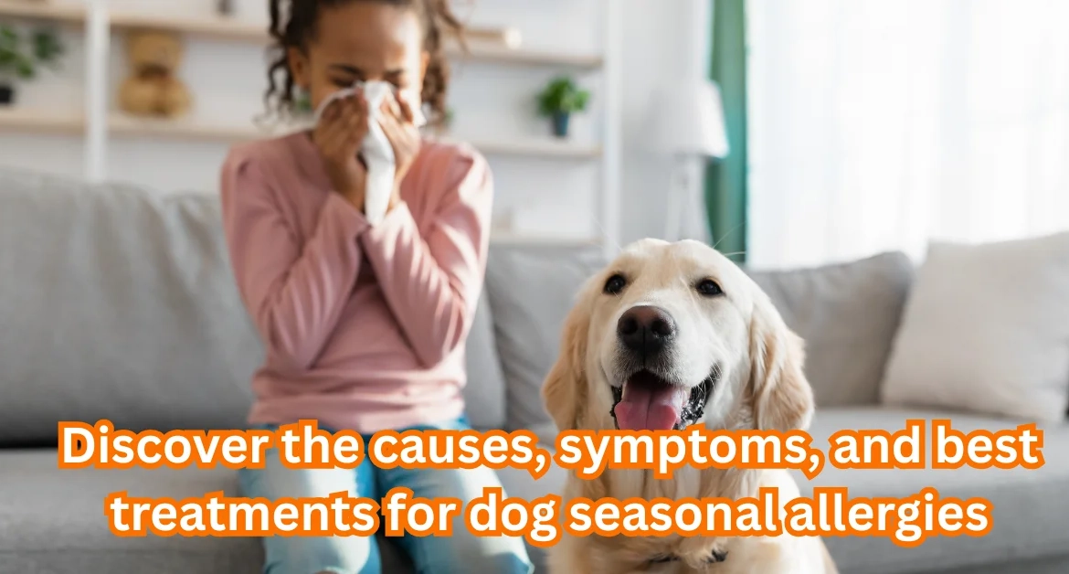 Seasonal Allergies in Dogs