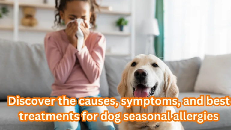 Seasonal Allergies in Dogs