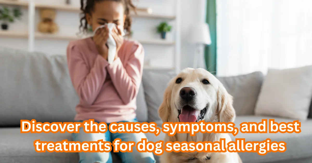 Seasonal Allergies in Dogs