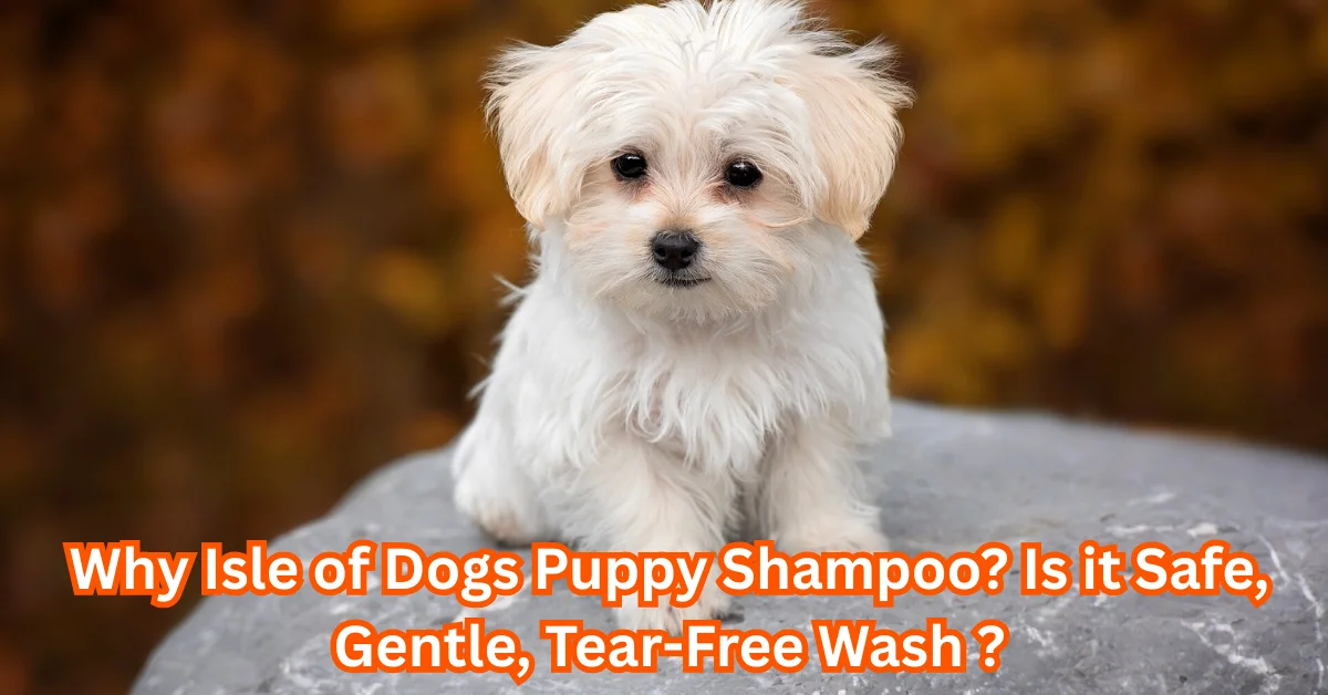 Isle of Dogs Puppy Shampoo