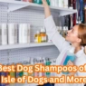 The Best Dog Shampoos of 2025: Isle of Dogs and More!