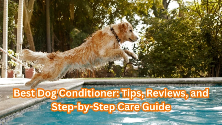 Best Dog Conditioner