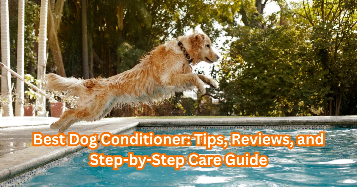 Best Dog Conditioner
