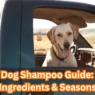 The Ultimate Dog Shampoo Guide: Ingredients, Testing, Bath & Coat Care
