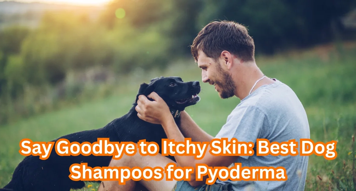 Dog Shampoo for Pyoderma