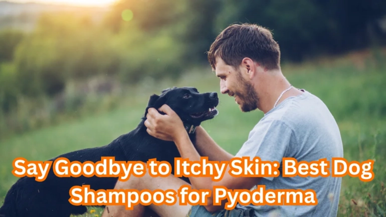 Dog Shampoo for Pyoderma