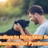 Dog Shampoo for Pyoderma: A Complete Owner’s Guide & Expert’s Tips