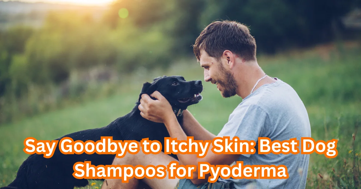 Dog Shampoo for Pyoderma