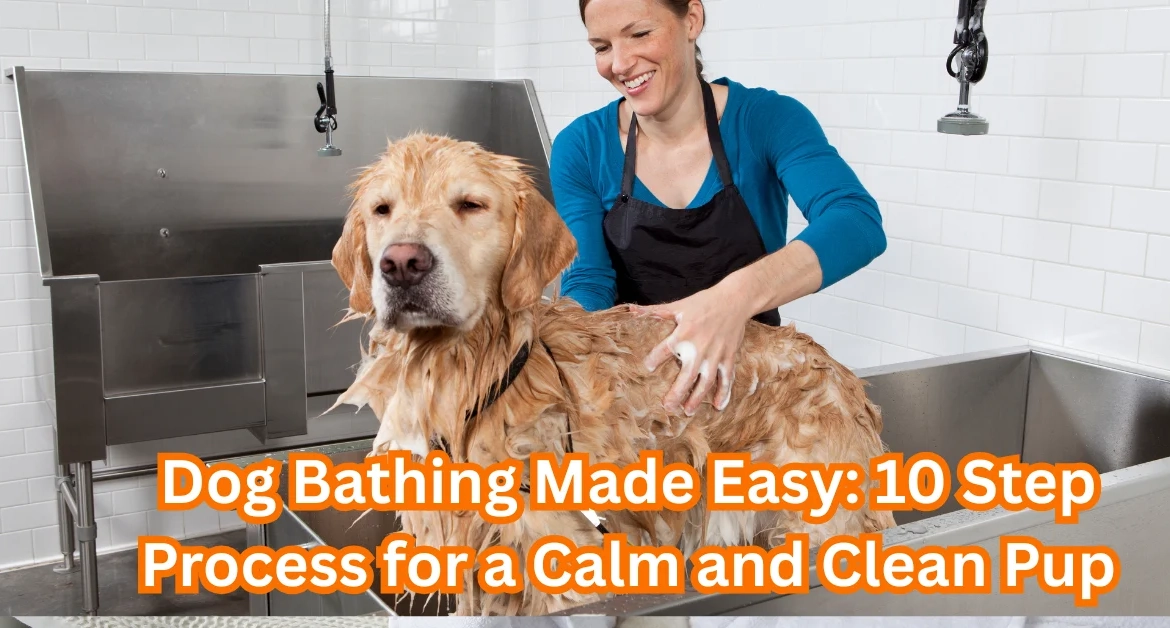 how to bathe a dog