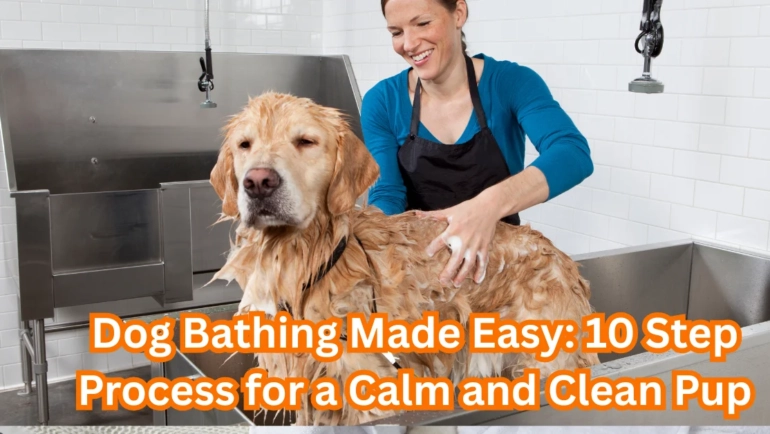 how to bathe a dog