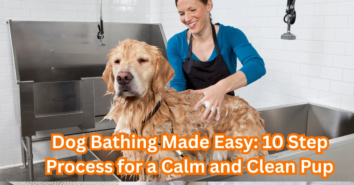 how to bathe a dog