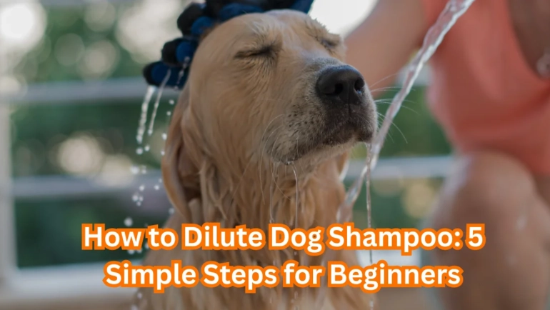 How to Dilute Dog Shampoo