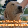 How to Dilute Dog Shampoo: Simple 5 Steps for Beginners