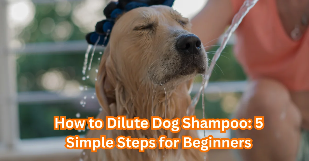 How to Dilute Dog Shampoo