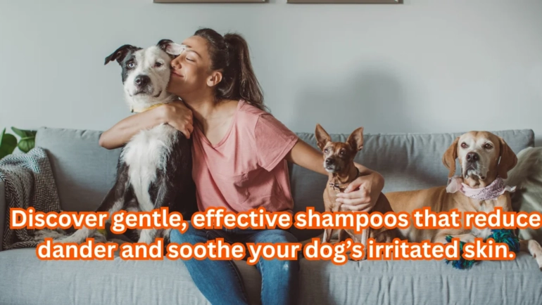pet dander shampoo for dogs