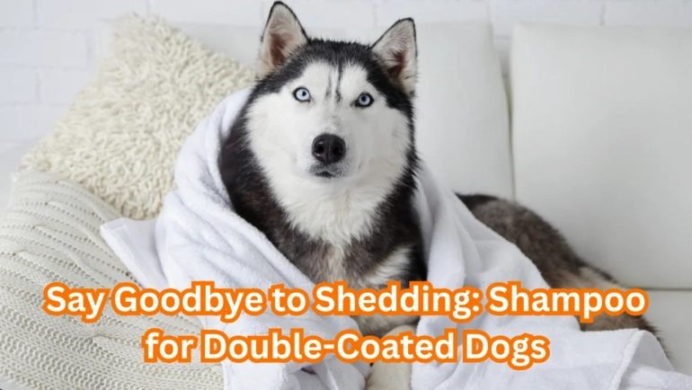shampoo for double coated dogs