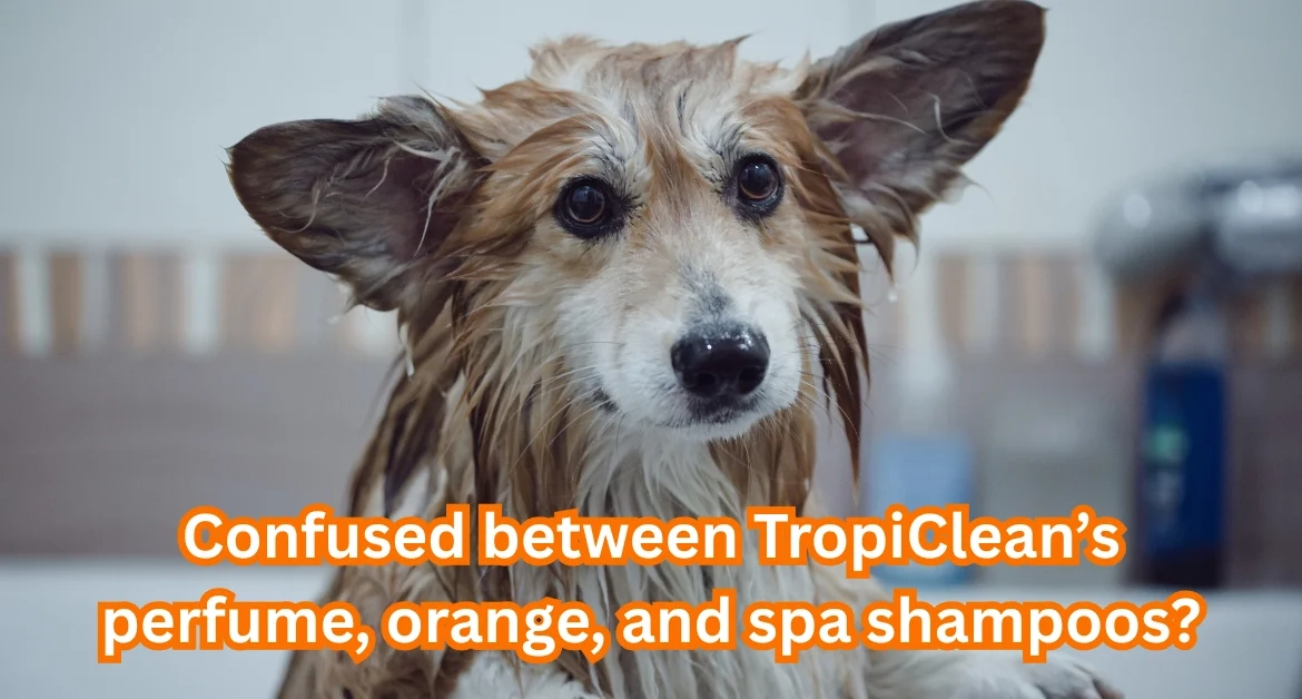 Perfume Dog Shampoo