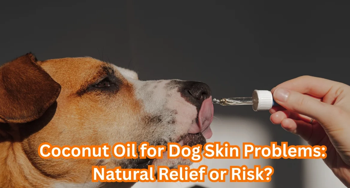 Coconut Oil for Dog Skin