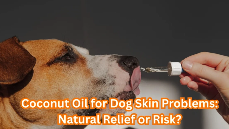 Coconut Oil for Dog Skin